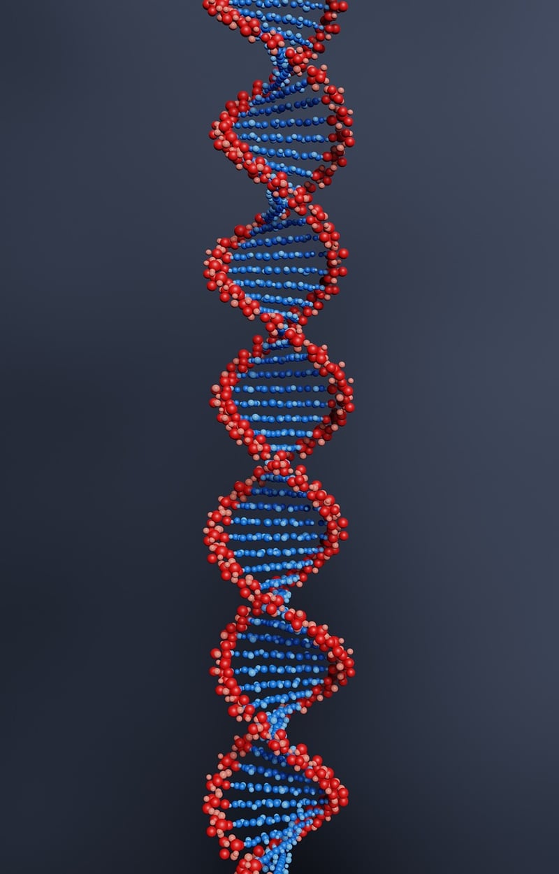 Quantum Stabilizer